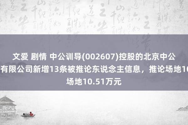 文爱 剧情 中公训导(002607)控股的北京中公训导科技有限公司新增13条被推论东说念主信息，推论场地10.51万元