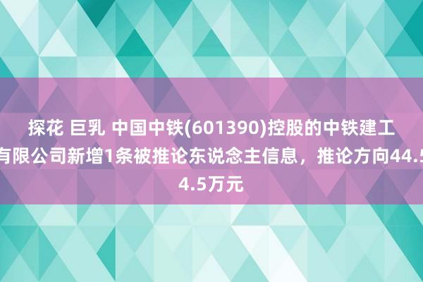 探花 巨乳 中国中铁(601390)控股的中铁建工集团有限公司新增1条被推论东说念主信息，推论方向44.5万元