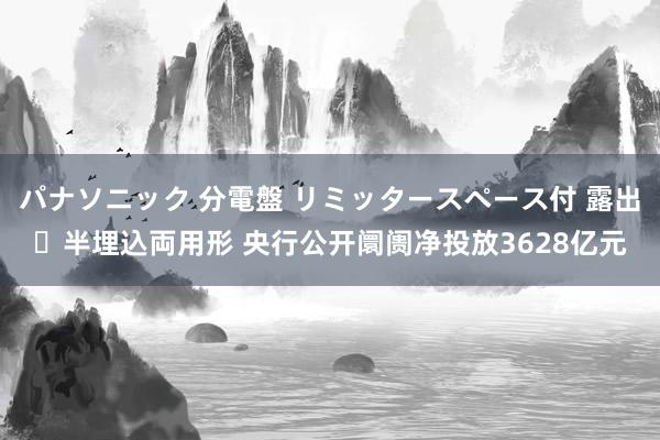 パナソニック 分電盤 リミッタースペース付 露出・半埋込両用形 央行公开阛阓净投放3628亿元