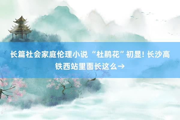 长篇社会家庭伦理小说 “杜鹃花”初显! 长沙高铁西站里面长这么→