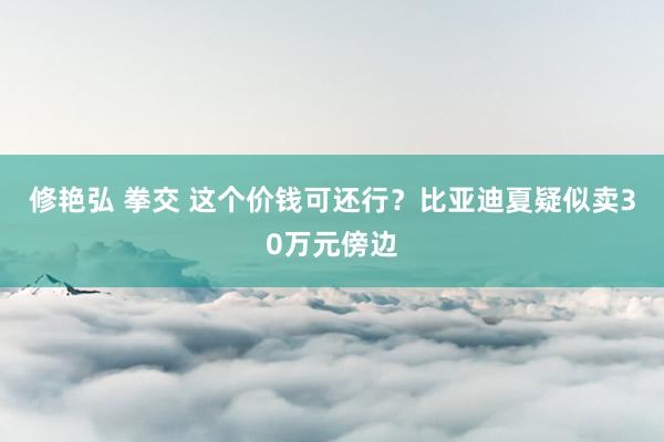 修艳弘 拳交 这个价钱可还行？比亚迪夏疑似卖30万元傍边