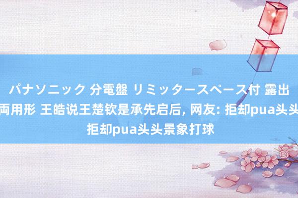 パナソニック 分電盤 リミッタースペース付 露出・半埋込両用形 王皓说王楚钦是承先启后, 网友: 拒却pua头头景象打球