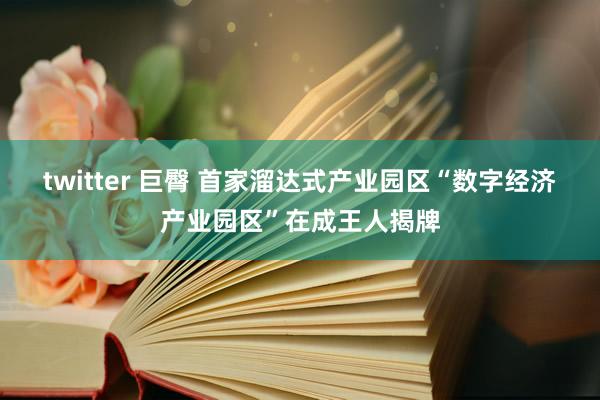 twitter 巨臀 首家溜达式产业园区“数字经济产业园区”在成王人揭牌