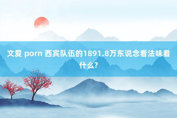 文爱 porn 西宾队伍的1891.8万东说念看法味着什么?