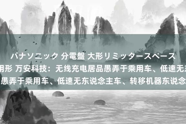 パナソニック 分電盤 大形リミッタースペースなし 露出・半埋込両用形 万安科技：无线充电居品愚弄于乘用车、低速无东说念主车、转移机器东说念主等