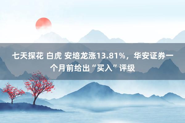 七天探花 白虎 安培龙涨13.81%，华安证券一个月前给出“买入”评级