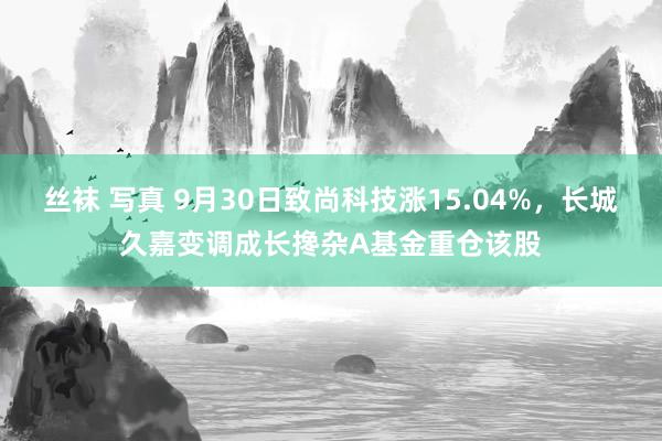 丝袜 写真 9月30日致尚科技涨15.04%，长城久嘉变调成长搀杂A基金重仓该股