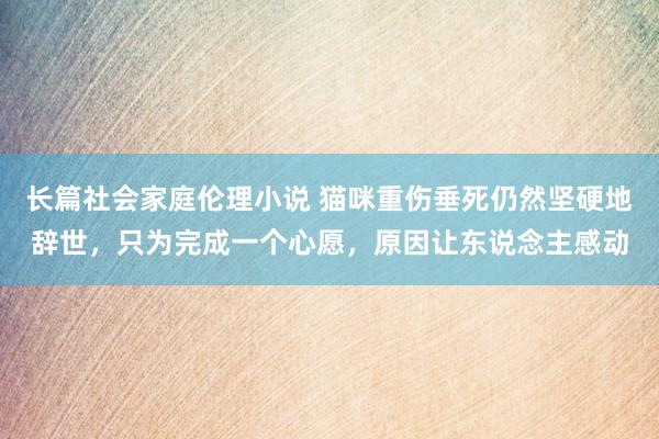 长篇社会家庭伦理小说 猫咪重伤垂死仍然坚硬地辞世，只为完成一个心愿，原因让东说念主感动