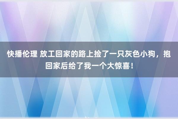 快播伦理 放工回家的路上捡了一只灰色小狗，抱回家后给了我一个大惊喜！