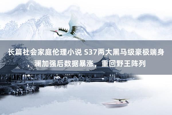 长篇社会家庭伦理小说 S37两大黑马级豪极端身，澜加强后数据暴涨，重回野王阵列