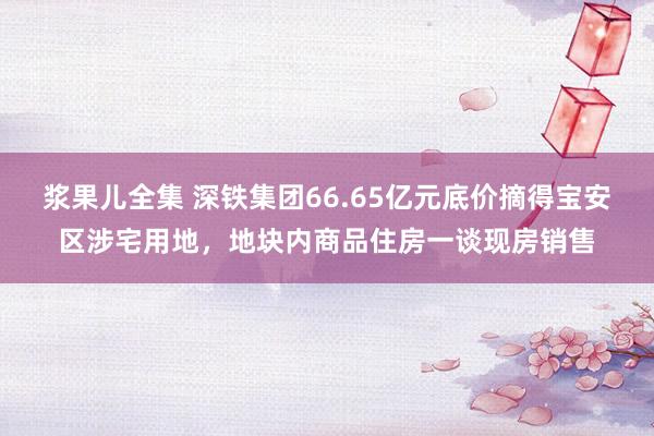 浆果儿全集 深铁集团66.65亿元底价摘得宝安区涉宅用地，地块内商品住房一谈现房销售