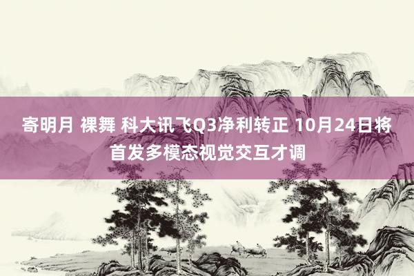 寄明月 裸舞 科大讯飞Q3净利转正 10月24日将首发多模态视觉交互才调