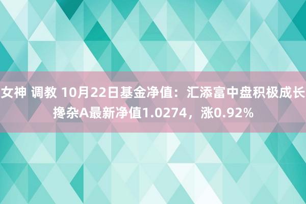 女神 调教 10月22日基金净值：汇添富中盘积极成长搀杂A最新净值1.0274，涨0.92%