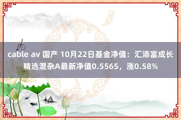 cable av 国产 10月22日基金净值：汇添富成长精选混杂A最新净值0.5565，涨0.58%