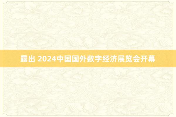 露出 2024中国国外数字经济展览会开幕