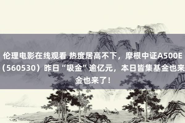 伦理电影在线观看 热度居高不下，摩根中证A500ETF（560530）昨日“吸金”逾亿元，本日皆集基金也来了！