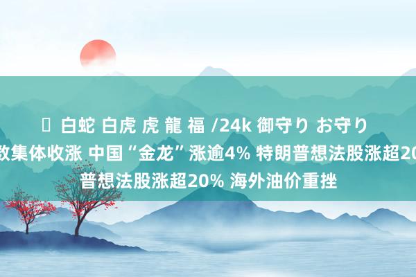 ✨白蛇 白虎 虎 龍 福 /24k 御守り お守り 好意思股三大指数集体收涨 中国“金龙”涨逾4% 特朗普想法股涨超20% 海外油价重挫