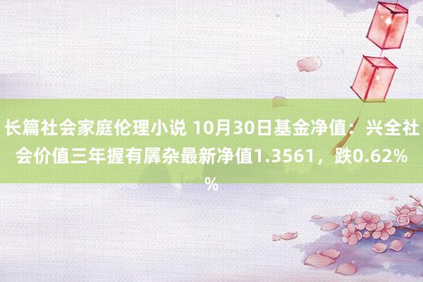 长篇社会家庭伦理小说 10月30日基金净值：兴全社会价值三年握有羼杂最新净值1.3561，跌0.62%