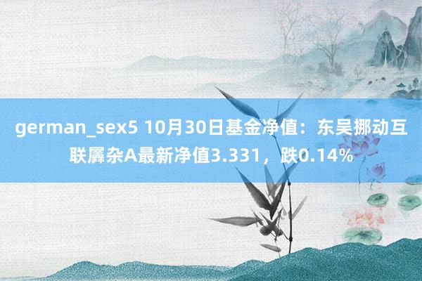 german_sex5 10月30日基金净值：东吴挪动互联羼杂A最新净值3.331，跌0.14%