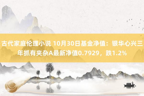 古代家庭伦理小说 10月30日基金净值：银华心兴三年抓有夹杂A最新净值0.7929，跌1.2%