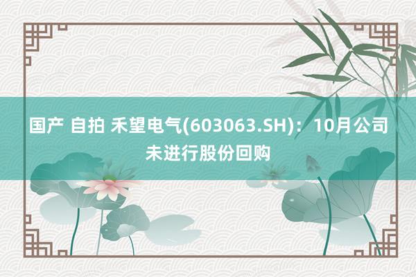 国产 自拍 禾望电气(603063.SH)：10月公司未进行股份回购