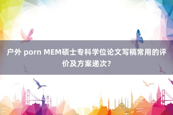 户外 porn MEM硕士专科学位论文写稿常用的评价及方案递次？