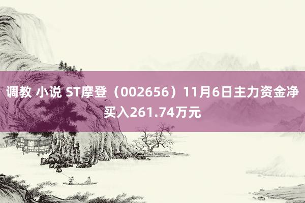 调教 小说 ST摩登（002656）11月6日主力资金净买入261.74万元