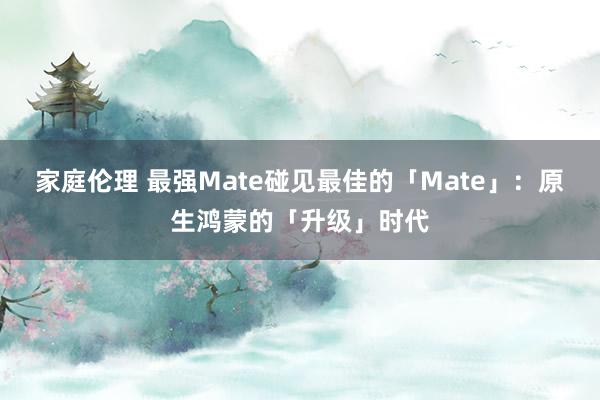 家庭伦理 最强Mate碰见最佳的「Mate」：原生鸿蒙的「升级」时代