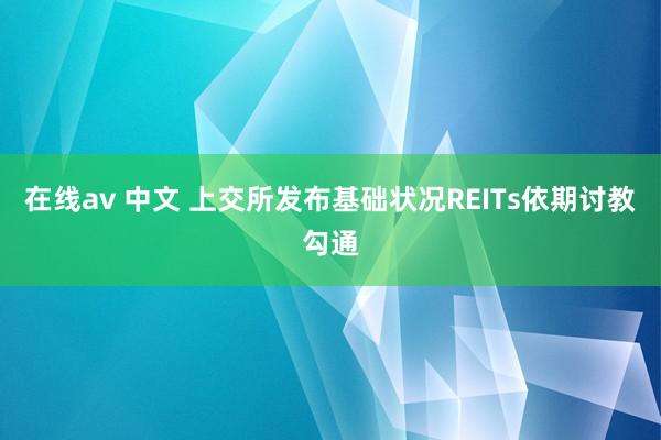 在线av 中文 上交所发布基础状况REITs依期讨教勾通