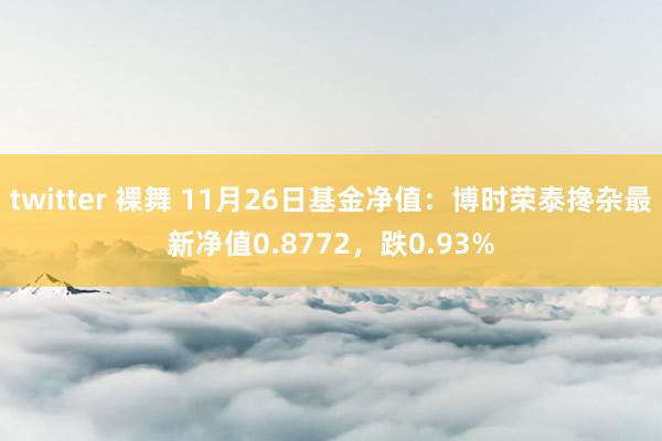 twitter 裸舞 11月26日基金净值：博时荣泰搀杂最新净值0.8772，跌0.93%