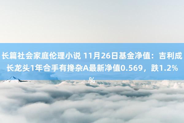 长篇社会家庭伦理小说 11月26日基金净值：吉利成长龙头1年合手有搀杂A最新净值0.569，跌1.2%