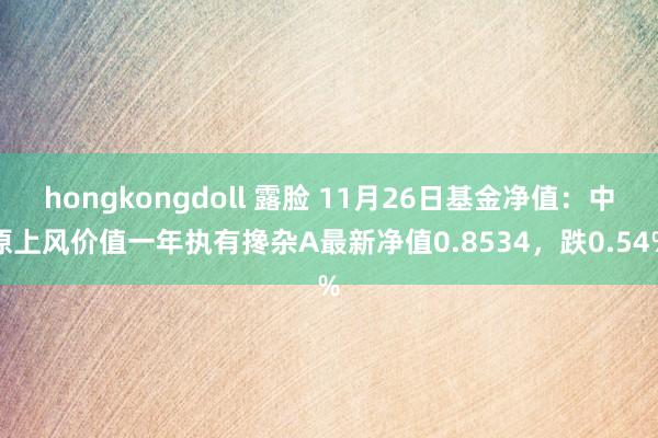 hongkongdoll 露脸 11月26日基金净值：中原上风价值一年执有搀杂A最新净值0.8534，跌0.54%