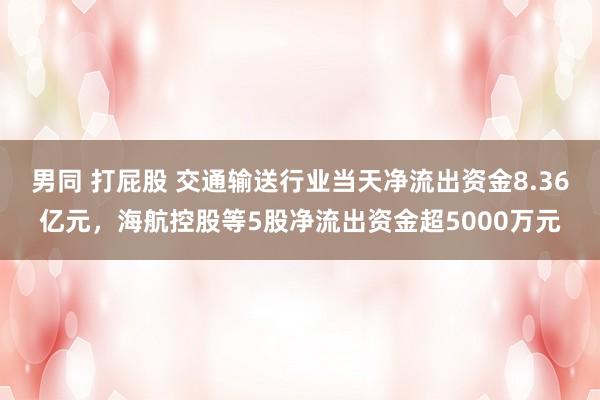 男同 打屁股 交通输送行业当天净流出资金8.36亿元，海航控股等5股净流出资金超5000万元