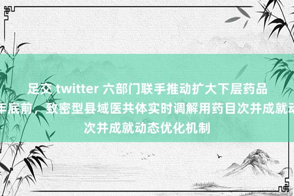 足交 twitter 六部门联手推动扩大下层药品种类：本年年底前，致密型县域医共体实时调解用药目次并成就动态优化机制