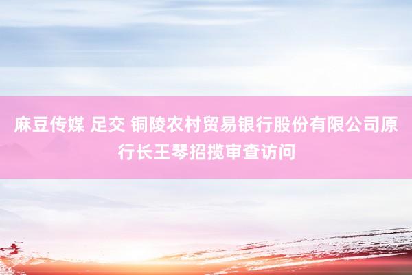 麻豆传媒 足交 铜陵农村贸易银行股份有限公司原行长王琴招揽审查访问