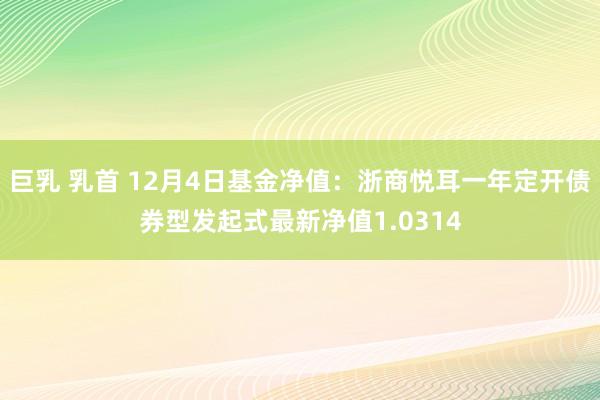 巨乳 乳首 12月4日基金净值：浙商悦耳一年定开债券型发起式最新净值1.0314