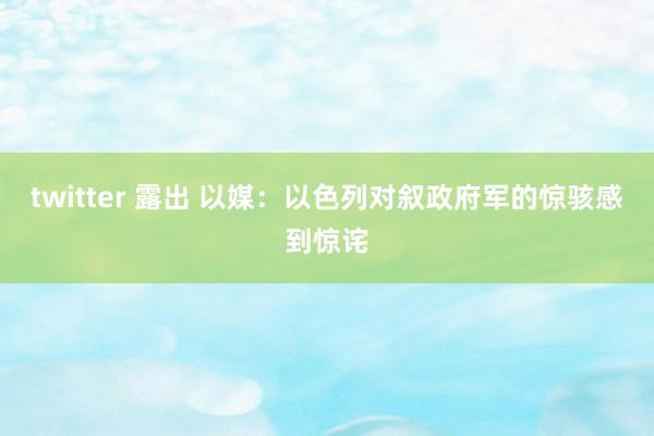 twitter 露出 以媒：以色列对叙政府军的惊骇感到惊诧