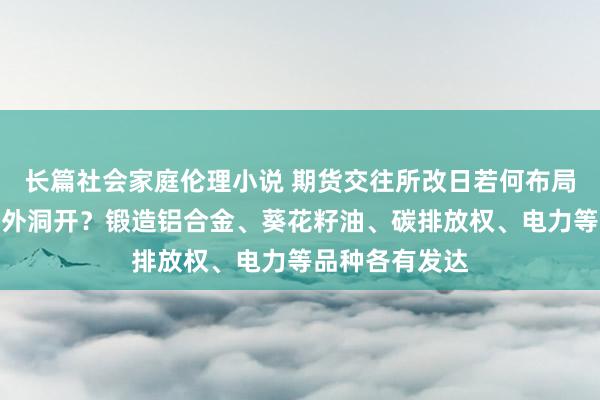 长篇社会家庭伦理小说 期货交往所改日若何布局品种、深化对外洞开？锻造铝合金、葵花籽油、碳排放权、电力等品种各有发达