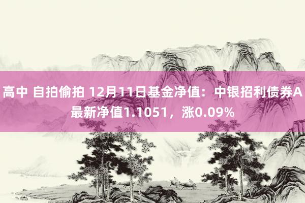 高中 自拍偷拍 12月11日基金净值：中银招利债券A最新净值1.1051，涨0.09%