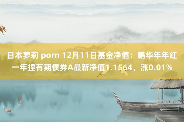 日本萝莉 porn 12月11日基金净值：鹏华年年红一年捏有期债券A最新净值1.1564，涨0.01%