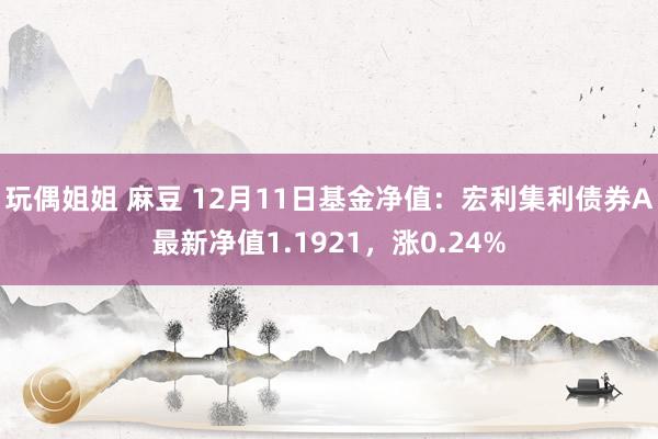 玩偶姐姐 麻豆 12月11日基金净值：宏利集利债券A最新净值1.1921，涨0.24%