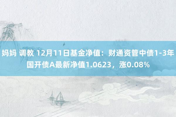 妈妈 调教 12月11日基金净值：财通资管中债1-3年国开债A最新净值1.0623，涨0.08%