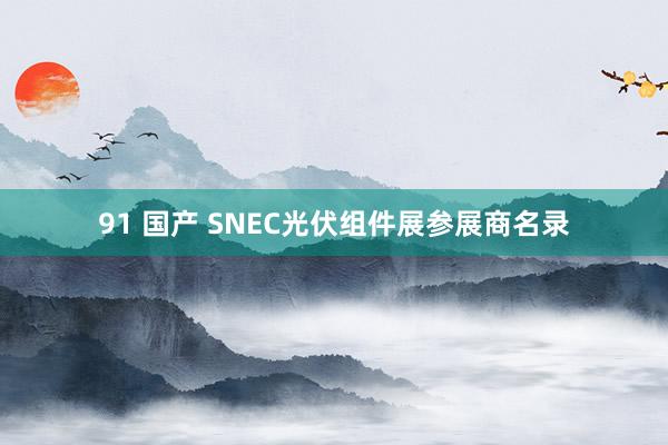 91 国产 SNEC光伏组件展参展商名录