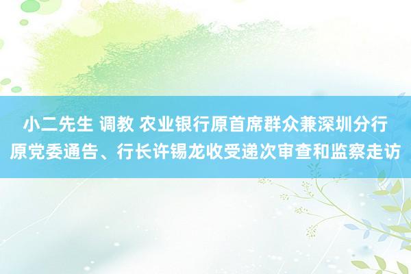 小二先生 调教 农业银行原首席群众兼深圳分行原党委通告、行长许锡龙收受递次审查和监察走访