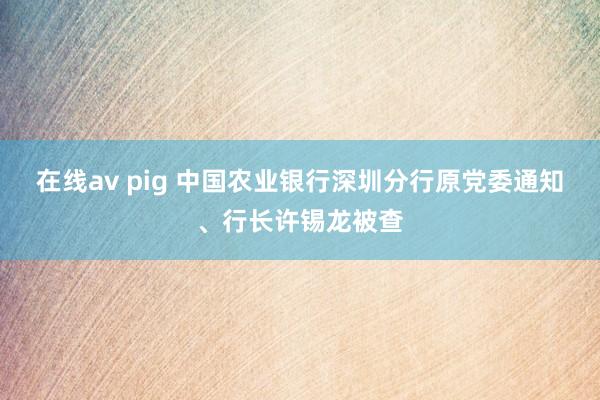 在线av pig 中国农业银行深圳分行原党委通知、行长许锡龙被查