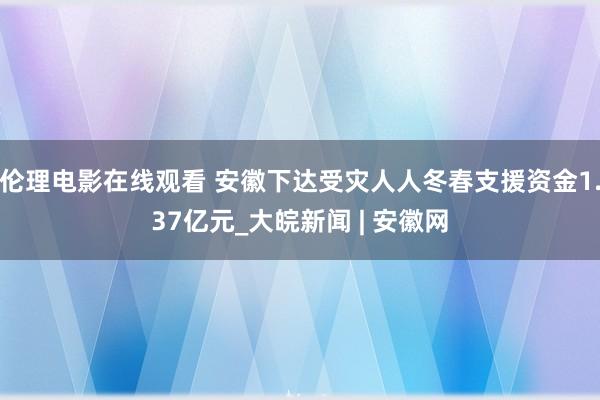 伦理电影在线观看 安徽下达受灾人人冬春支援资金1.37亿元_大皖新闻 | 安徽网