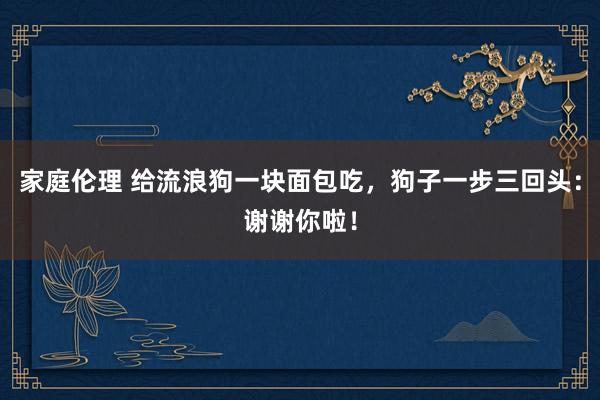 家庭伦理 给流浪狗一块面包吃，狗子一步三回头：谢谢你啦！