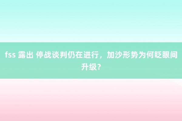 fss 露出 停战谈判仍在进行，加沙形势为何眨眼间升级？