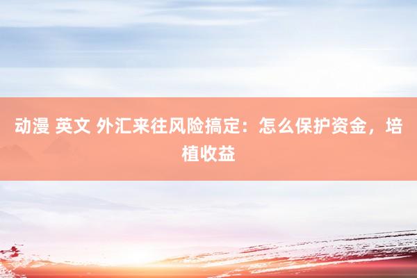 动漫 英文 外汇来往风险搞定：怎么保护资金，培植收益