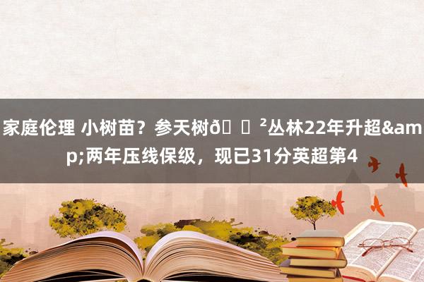 家庭伦理 小树苗？参天树🌲丛林22年升超&两年压线保级，现已31分英超第4